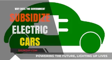Why Governments Subsidize Electric Cars: Incentives, Benefits, and Environmental Impact