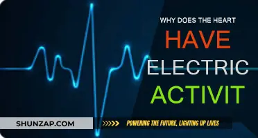 The Heart's Electrical Pulse: Why It Matters