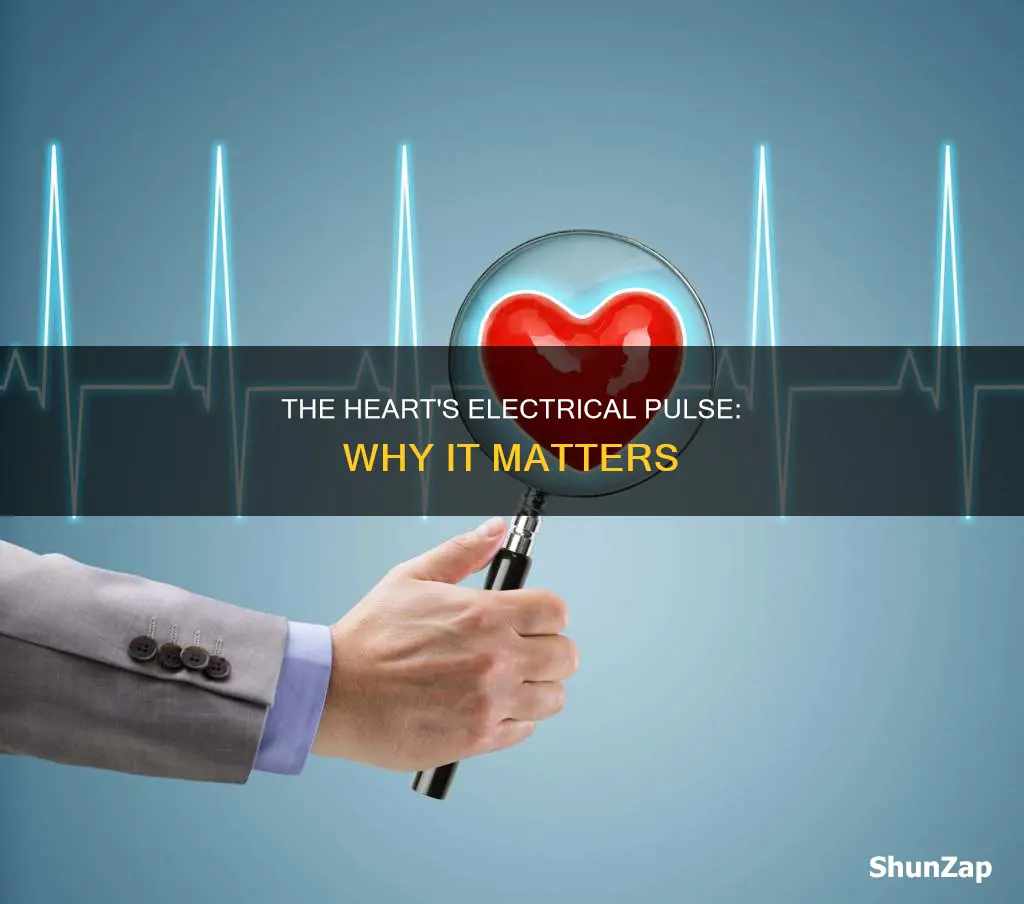 why does the heart have electrical activity