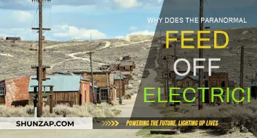Paranormal Electricity: The Energy Drain Mystery
