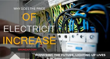 Electricity Prices: Rising Costs, Rising Bills