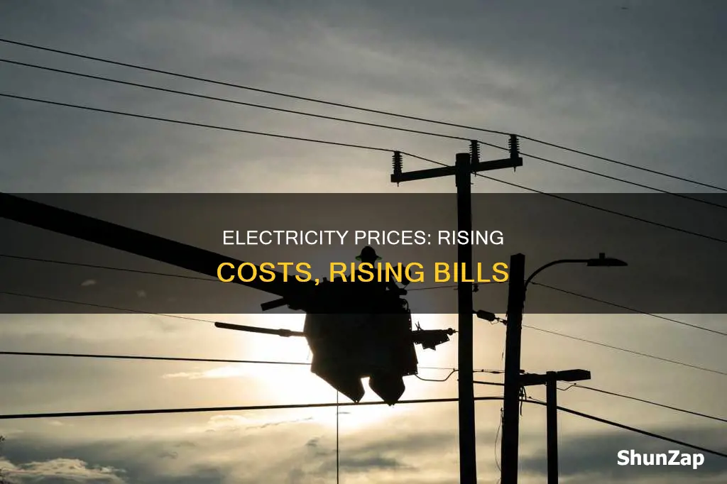 why does the price of electricity increase