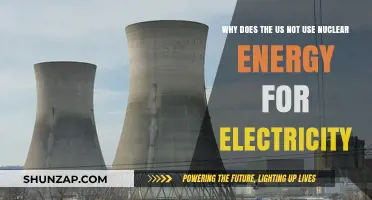 Why the US Avoids Nuclear Energy for Electricity Generation