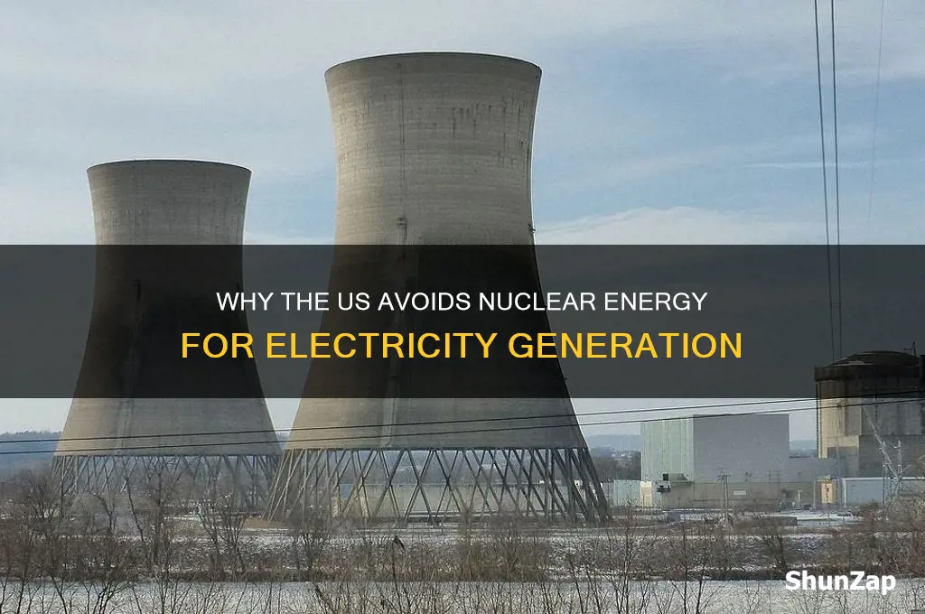 why does the us not use nuclear energy for electricity