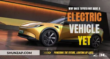 Toyota's Electric Vehicle Absence: Why the Wait?