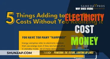 Why Electricity Usage Comes with a Price Tag: Explained