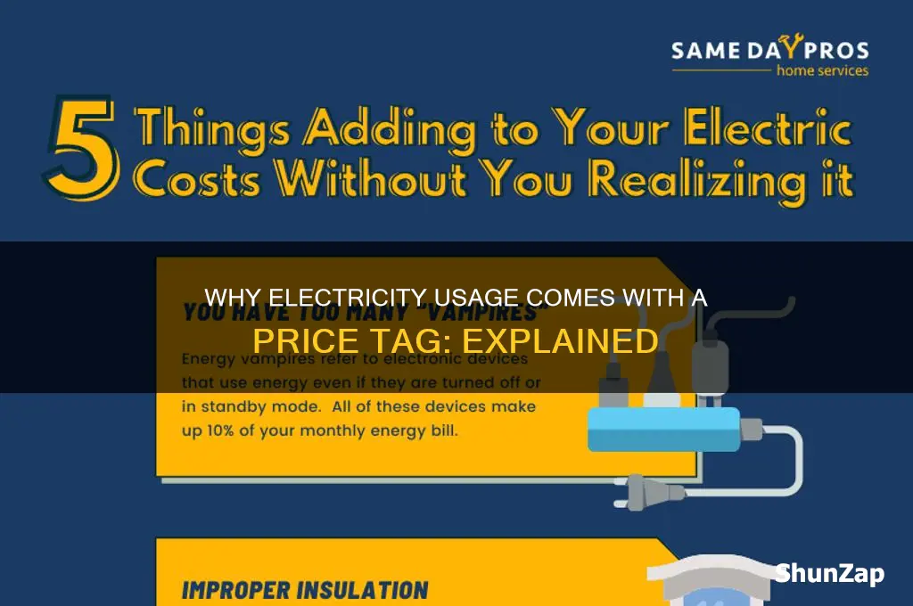 why does using electricity cost money