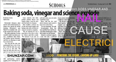 How Vinegar and Nails Generate Electricity