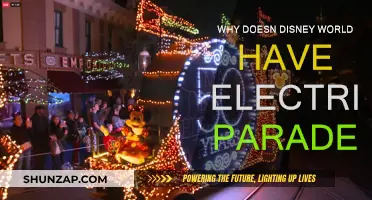 Electric Parade Absence: Disney World's Missing Spark