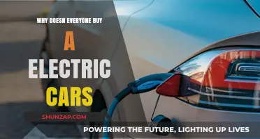 Why Aren't Electric Cars Dominating the Automotive Market Yet?