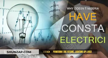 The Power Struggle: Nigeria's Electricity Crisis