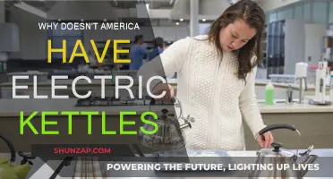 America's Stance on Electric Kettles: An Energy Perspective