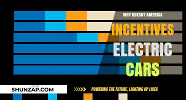 Why America Lags in Incentivizing Electric Vehicles: A Deep Dive