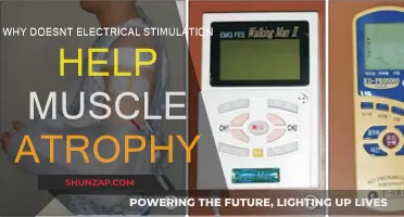 Electrical Stimulation: Ineffective Remedy for Muscle Atrophy