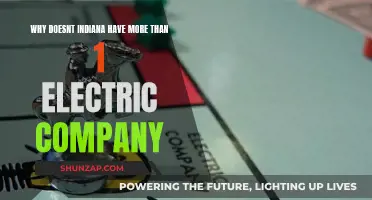 Indiana's Electric Company Monopoly: Why Only One Provider?