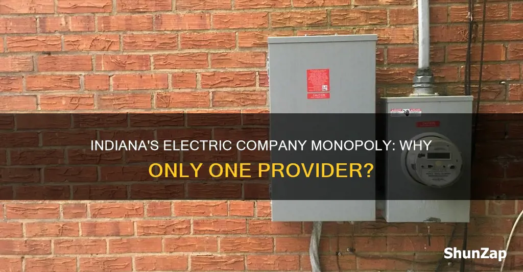 why doesnt indiana have more than 1 electric company