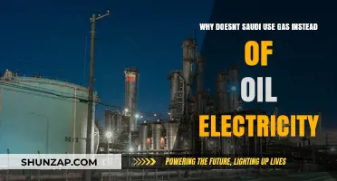 Saudi Arabia's Energy Dilemma: Why Not Gas Over Oil for Electricity?