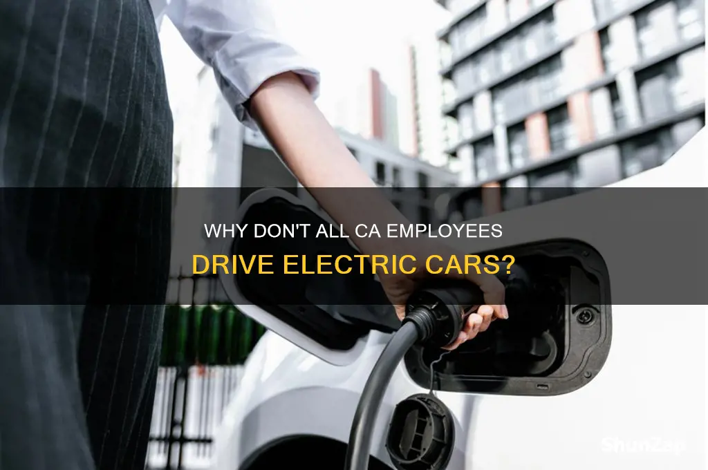 why dont all ca employees drive electric cars