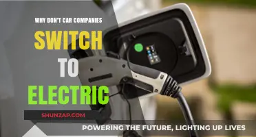 Why Car Manufacturers Hesitate to Fully Embrace Electric Vehicles