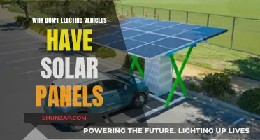 Solar Power for EVs: Why the Lack of Panels?