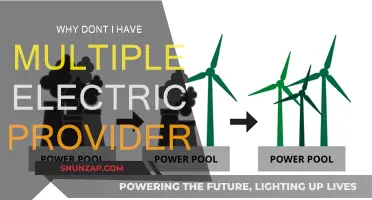 Electric Providers: Why You Don't Have Many Choices
