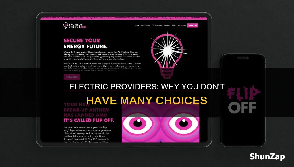 why dont i have multiple electric providers