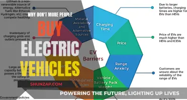 The Electric Revolution: Overcoming Barriers to EV Adoption