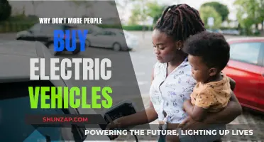 Electric Vehicles: Why Aren't They More Popular?