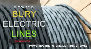 Underground Power Lines: Why Not Bury Them?