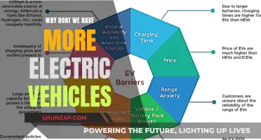 Electric Revolution: Overcoming Barriers to Mass Adoption