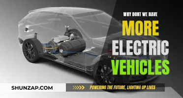 The Future of Electric Vehicles: Barriers and Opportunities