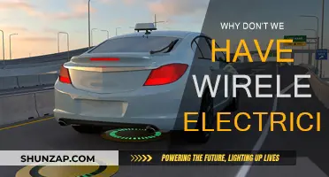 Wireless Electricity: The Future or a Fantasy?