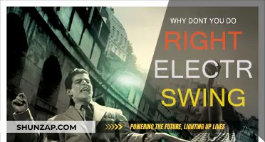 Electro Swing: Why Don't You Do Right?