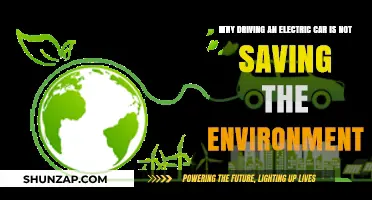 Electric Cars: The Hidden Environmental Costs Behind the Green Myth