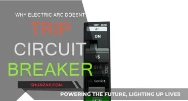 Electric Arcs: Why Circuit Breakers Fail to Trip