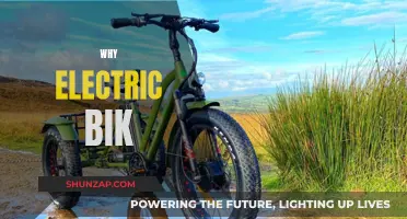 Electric Bike Revolution: Why You Should Try One Now