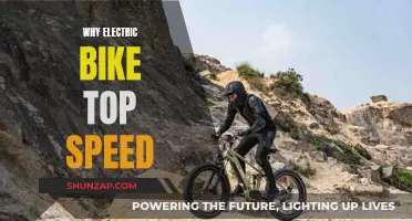 Electric Bike Top Speed: How Fast is Too Fast?