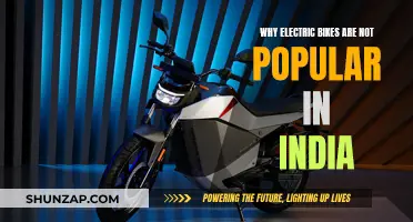 Electric Bikes in India: Why the Lack of Popularity?