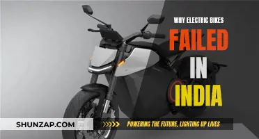 Electric Bikes: India's Unsuccessful Attempt at Green Revolution