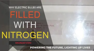 Electric Bulbs and Nitrogen: Extending Lifespan and Brightness