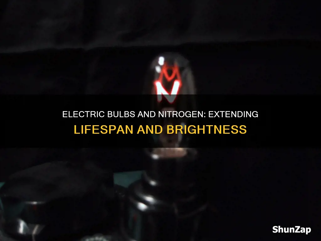 why electric bulbs are filled with nitrogen