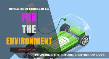 Electric Car Batteries: Environmental Impact and Hidden Ecological Costs