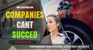 Challenges Hindering Electric Car Companies' Success in the Auto Industry