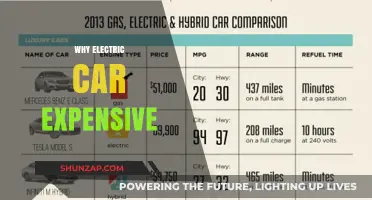 Why Electric Cars Cost More: Uncovering the High Price Tag