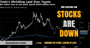 Why Electric Car Stocks Are Down: Market Shifts and Challenges