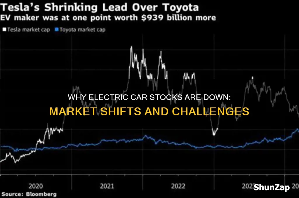 why electric car stocks are down
