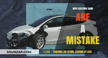 Electric Cars: A Costly, Unsustainable Mistake for the Future?