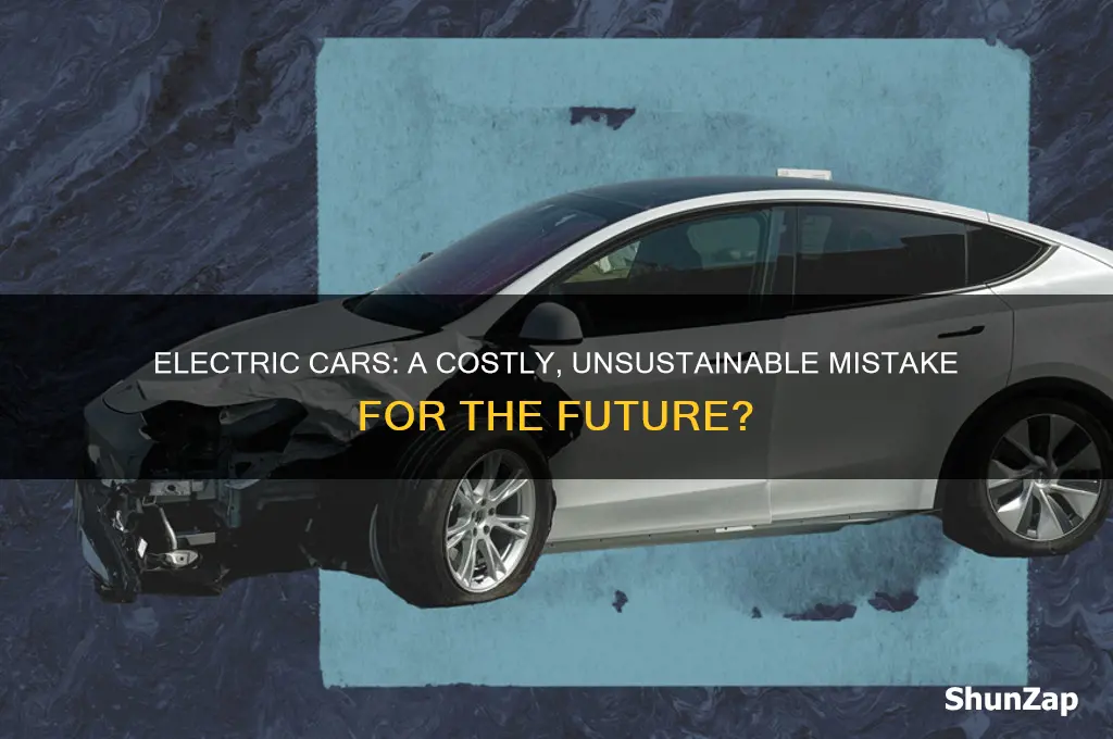why electric cars are a mistake