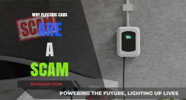 Electric Cars: Uncovering the Hidden Costs and Oversold Promises