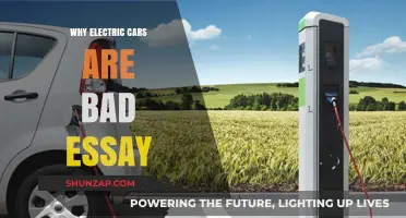 Electric Cars: Uncovering Hidden Drawbacks and Environmental Concerns